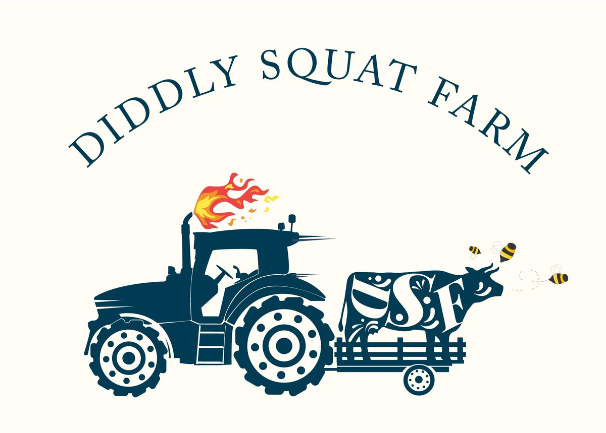 Diddly Squat logo